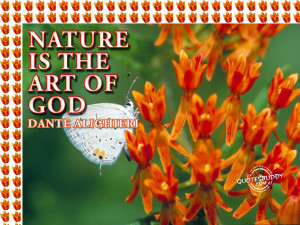 Nature Is The Art Of God ” Dante Alighieri