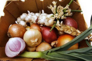 ... Fight Food, 10 Vegetables, Cancer Fight Vegetables, Tops Cancer Fight