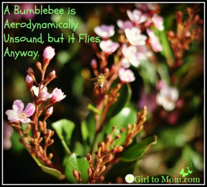 Bumble Bee is Aerodynamically Unsound, But it Flies Anyway.