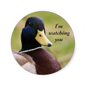 Funny I'm Watching You Duck Sticker