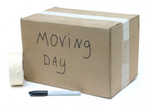 Tips to Ease Moving Day Strain When Pregnant