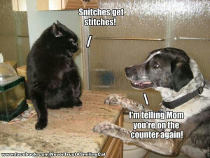 Snitches get stitches!