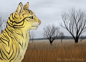 Forever Warriors Cats Tallstar