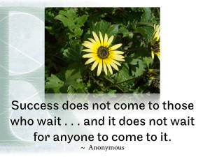 Success does not come to those who wait . . . and it does not wait for ...