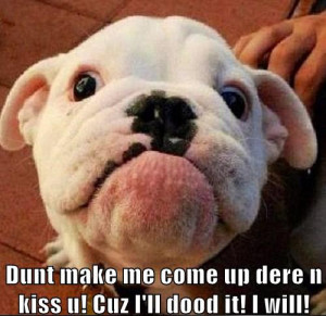 Funny-Quotes-about-Bulldogs-10