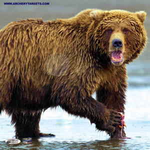 Fred Bear Grizzly