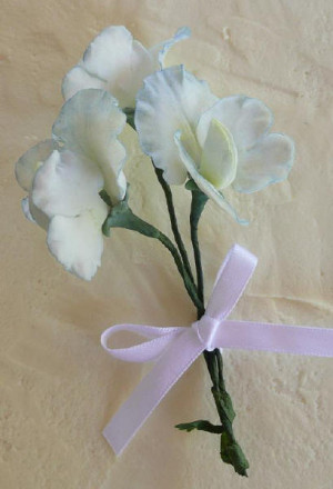 Funny Quotes Contact Dmca