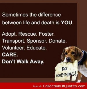 ... Foster Transport Sponsor Donate Volunteer Educate Care Dont Walk Away