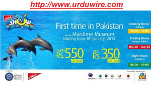 Dolphin Show Karachi Pakistan Maritime Museum Karsaz Navy Park