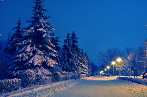 Winter Night Beautiful Latest Wallpaper Free Download