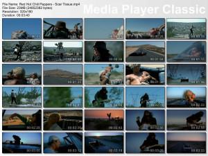 Red Hot Chili Peppers Scar Tissue Screenshot Image