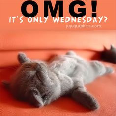 Its only Wednesday quotes quote days of the week wednesday hump day ...