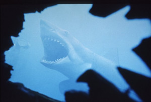 ... photo by bud gray mptv image courtesy mptvimages com titles jaws jaws