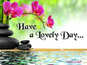 My Dear Friend (ˆ ˆ) Very Good Morning !!