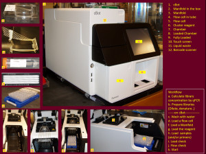 Image collection of cBot & HiSeq 2000