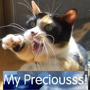 Related Pictures good morning sayings good night quotes love funny ...