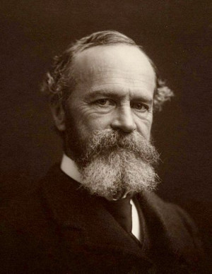 William James, psychologist and philosopher. Also a great beard.