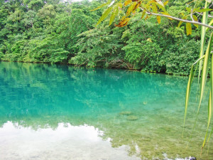 blue lagoon portland jamaica
