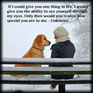 ... Quote, Dogs Lovers, Lab, So Sweet, Eye, Wall Photos, Golden Retriever