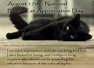 ... of Cats Love Naps in Honor of National Black Cat Appreciation Day