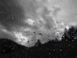 topic relaxation music dolphin love album cover relaxing bathroom ...