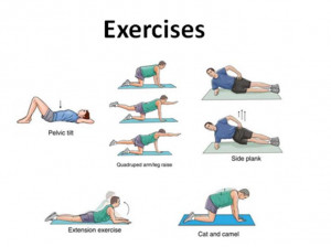 ... Exercise Low, Si Jointed, Extensions Exercise, Jointed Rehabilitation