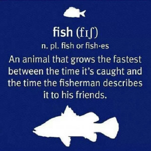 ... friends Funny Things, Quotes, Country Redneck, Fly Fish, True, Funny