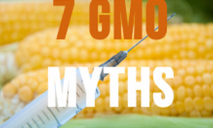 Top 7 Myths About GMO Foods and Monsanto