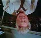 Lloyd+bridges+sniffing+glue