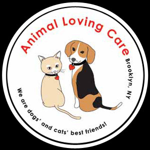 Dog Grooming Logo Design