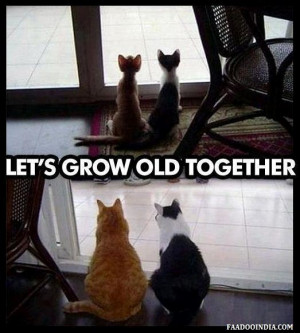 Let’s Grow Old Together