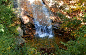 study nature love nature stay close to nature it will never fail you ...