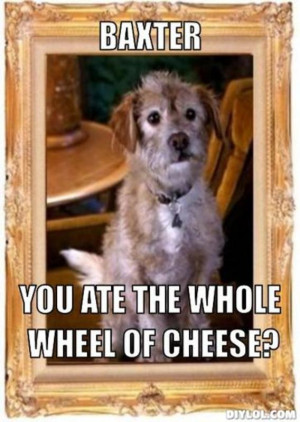 Resized_scumbag-baxter-meme-generator-baxter-you-ate-the-whole-wheel ...