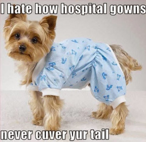 Written By garban mahmud on Wednesday, 18 March 2015 | 11:29