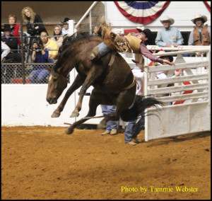 Related Pictures bull riding talk about a load of fun bull riding