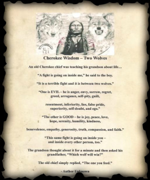 came across this Cherokee Wisdom teaching story about two wolves ...