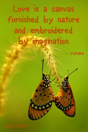 ... and embroidered by imagination. #Voltaire #freedating #quotes #dating