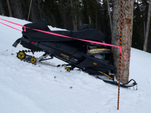 skidoo Image