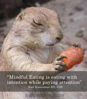 Mindful Eating – What It Can Do For You