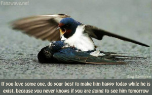 visit our new website for photos and quotes