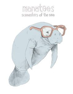 Manatee Scenesters of the Sea by bearandthehare on Etsy, $15.00 More