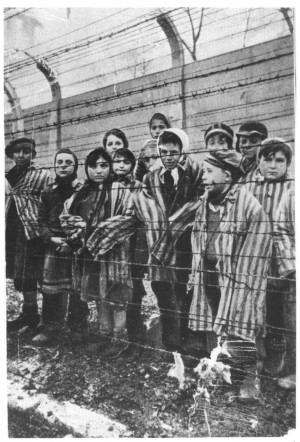 Auschwitz Concentration Camp Survivors