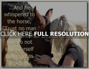 horse sayings 1