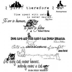 Lime's creative sidewalk: Cat quotes