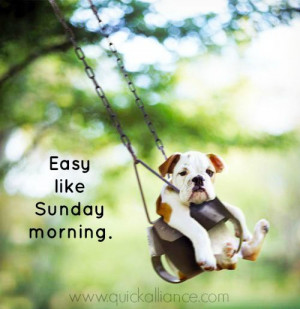 Easy like Sunday morning. Happy #Sunday!: Sunday Morning'S Lol, Sunday ...