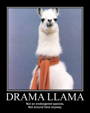 http://s1.static.gotsmile.net/images/2012/01/15/drama-llama ...