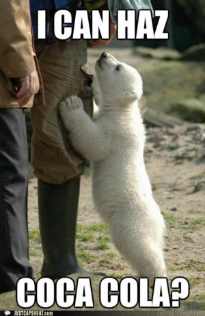 polar bear funny jokes, polar bear funny signs, polar bear funny ...