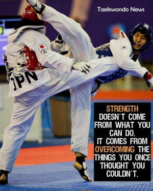 Korean Martial Art Taekwondo (태권도)