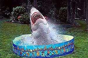 Written at 11:11 PM by Natasha.