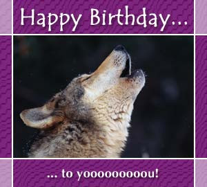 Thread: Happy Birthday WolfDio! -Jan. 20, 2013
